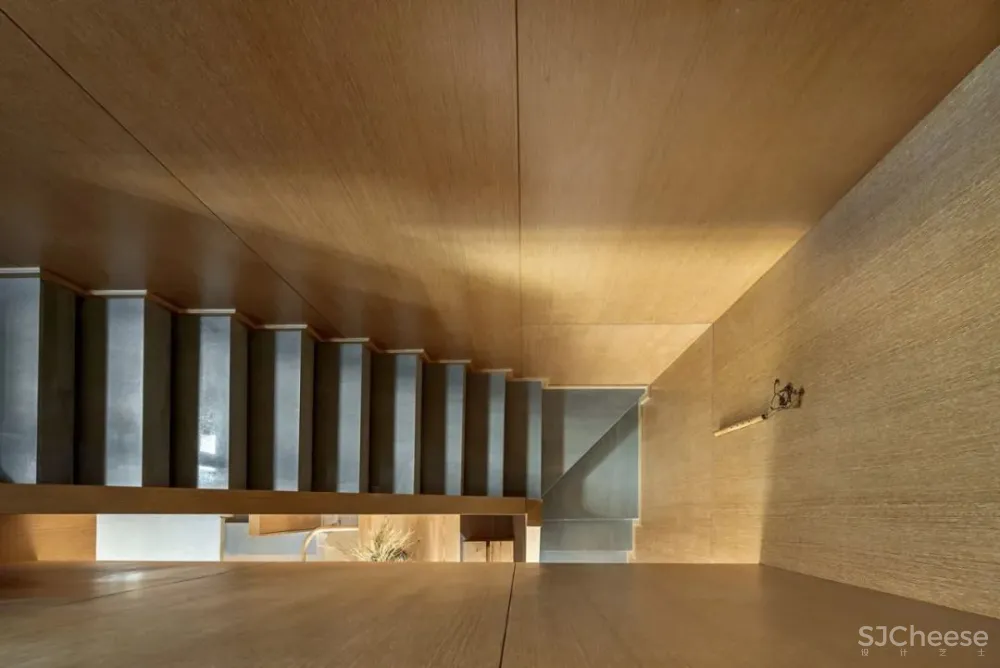 东西方自然观 共生形态设计