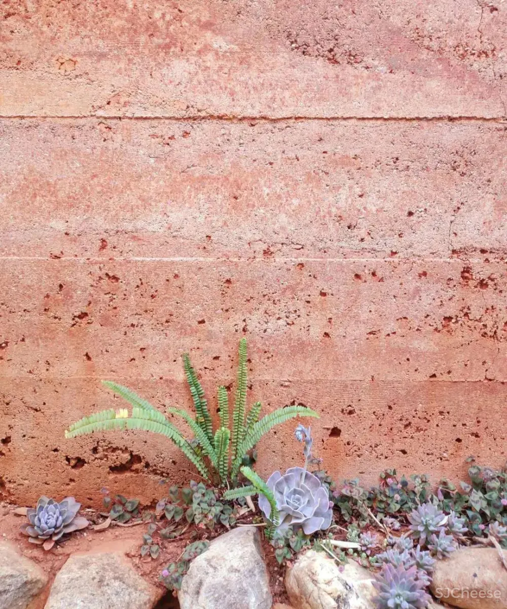 舒坦:在大理凤阳邑喝茶、洗片,他的“原生”乡建有何特别?