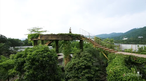 一个广东宅男,把游戏场景搬进30000m²的后花园,20年了还没造完