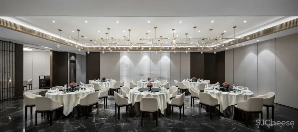 2020年设计师的豪华资料库