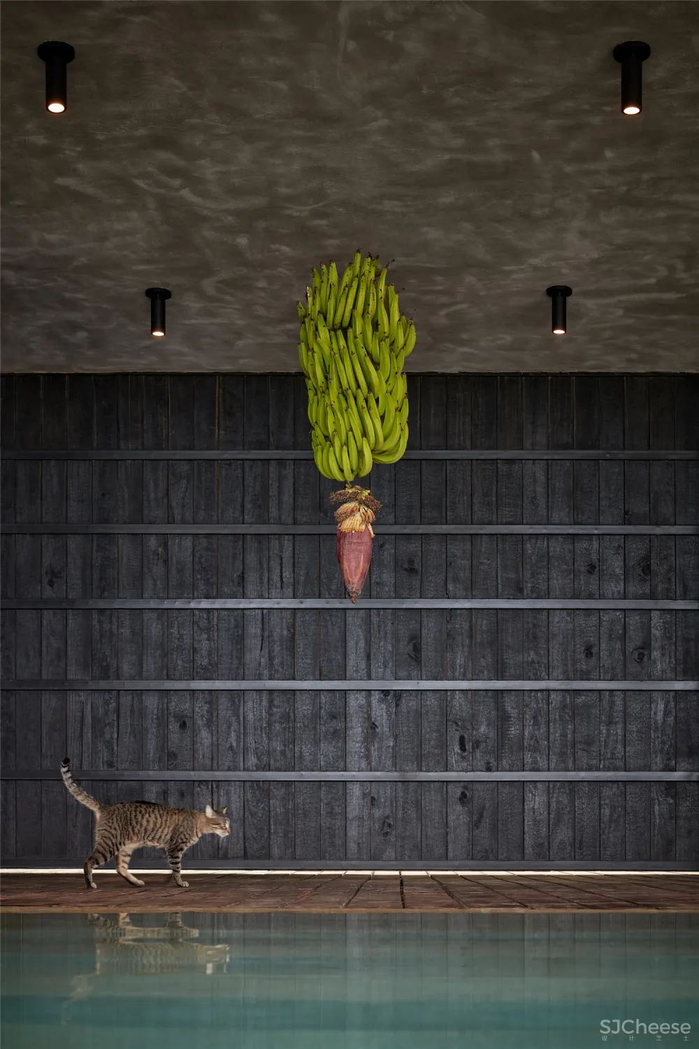 真正的野奢民宿,野到极致才是奢华