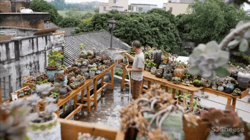 一个广东宅男,把游戏场景搬进30000m²的后花园,20年了还没造完