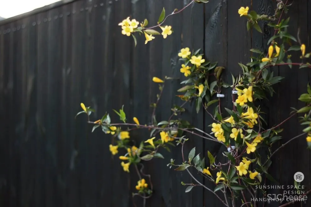 三台云舍 她和房东签下15年租约,来装成向往的度假屋