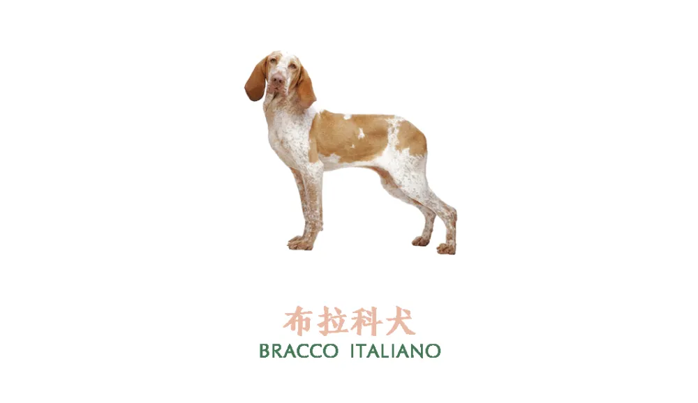 上海 LENTOSCANA品牌的艺术实验 寻长设计