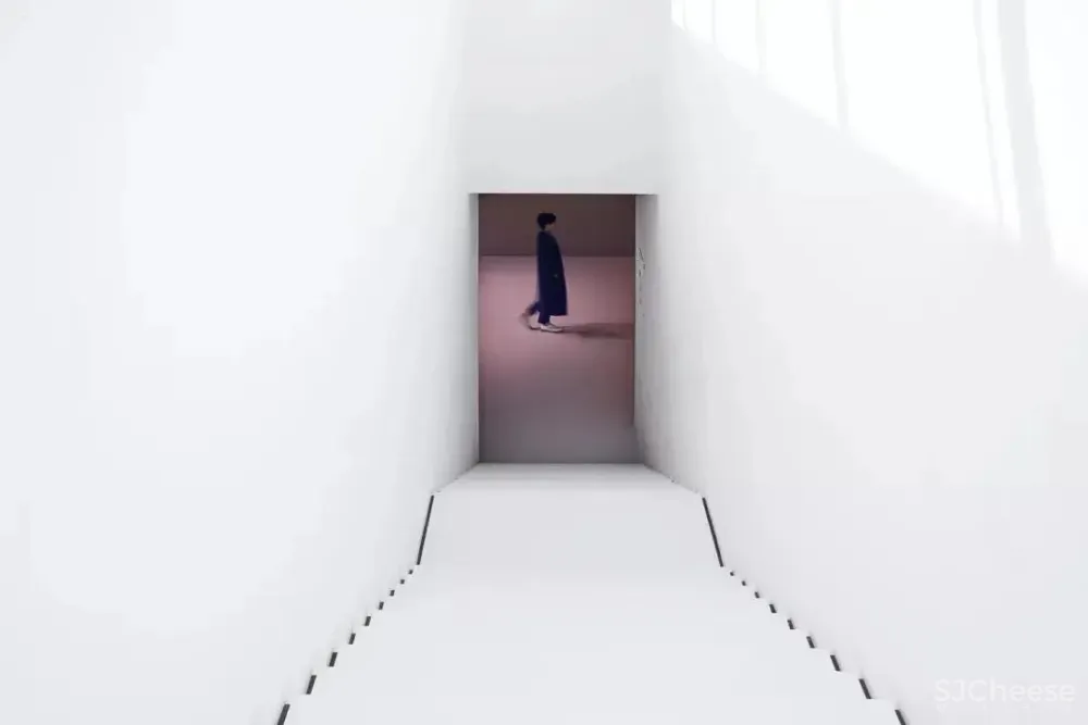 道法自然 MUSE - WISDOW 妙物