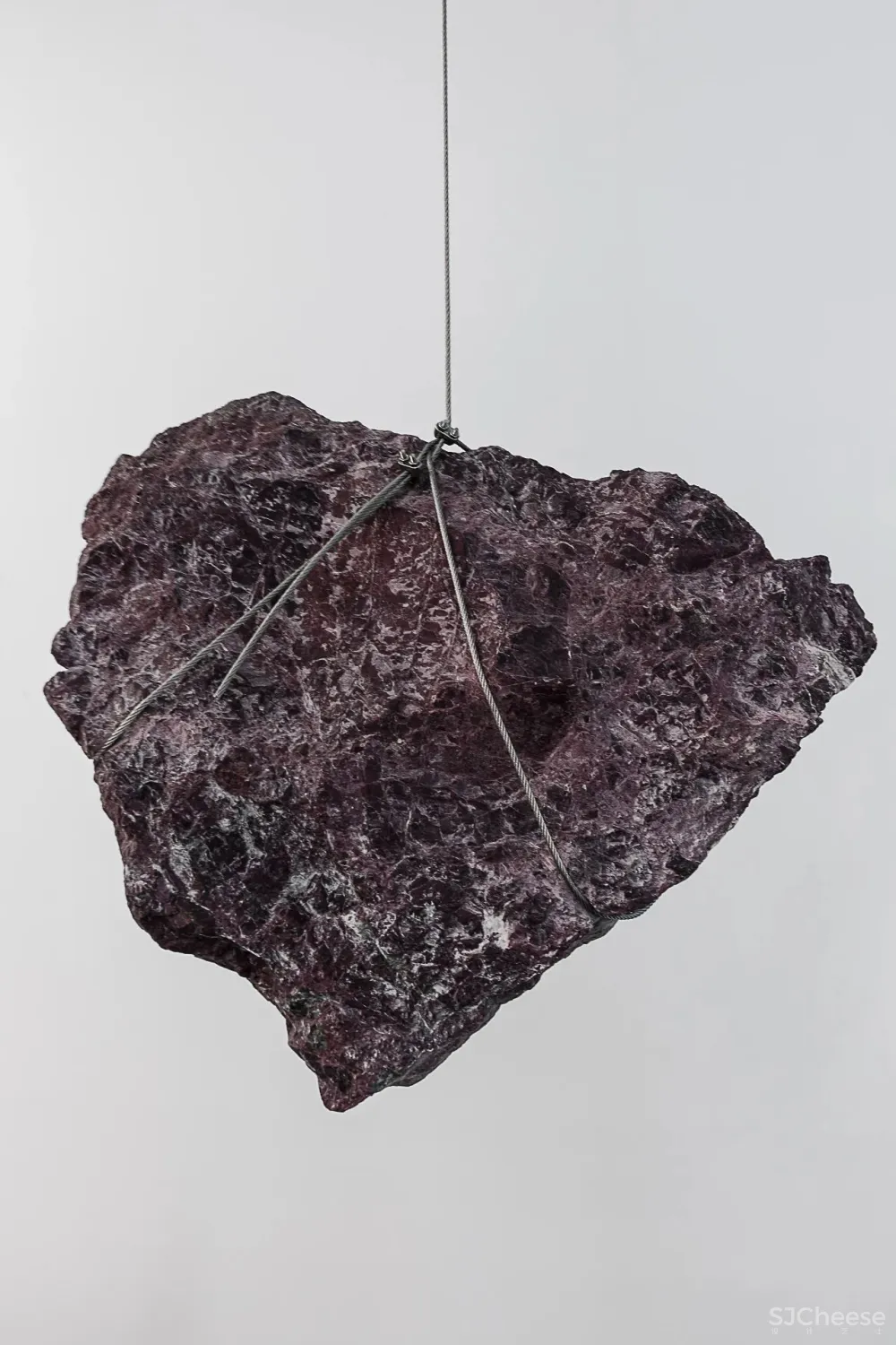 王鹏:一场跨越亿万年的爱恋!