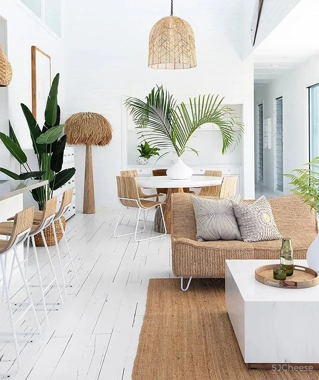 大白至简，无华而奢