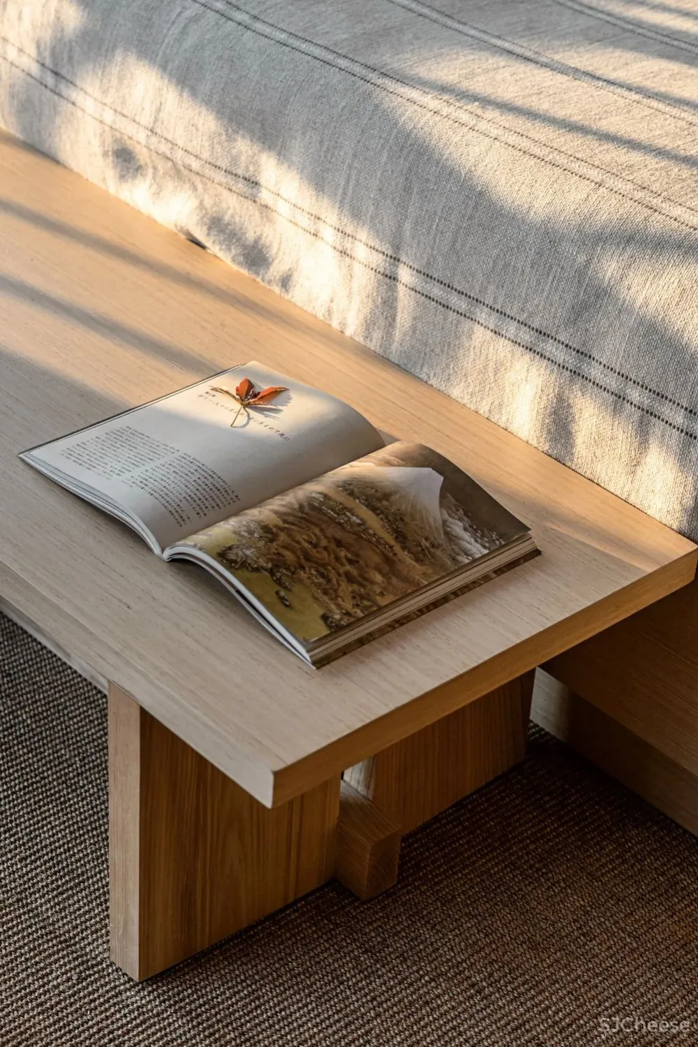 东西方自然观 共生形态设计