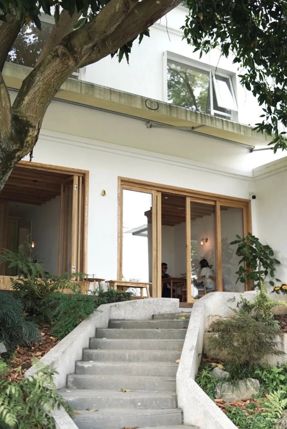 别止:重庆南山上的白房子,让人“重返18岁”