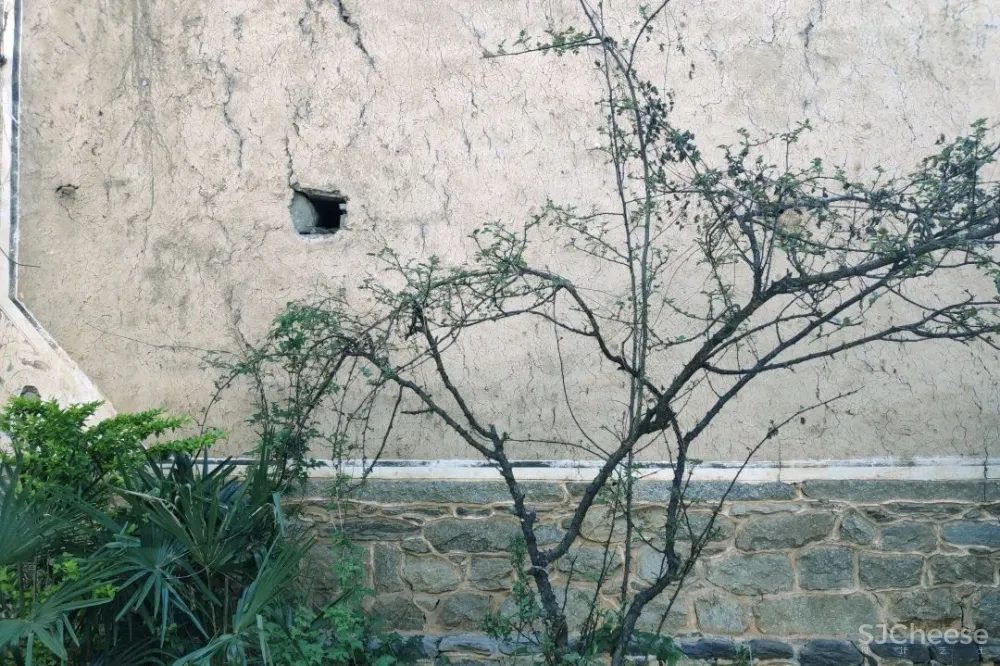 舒坦:在大理凤阳邑喝茶、洗片,他的“原生”乡建有何特别?