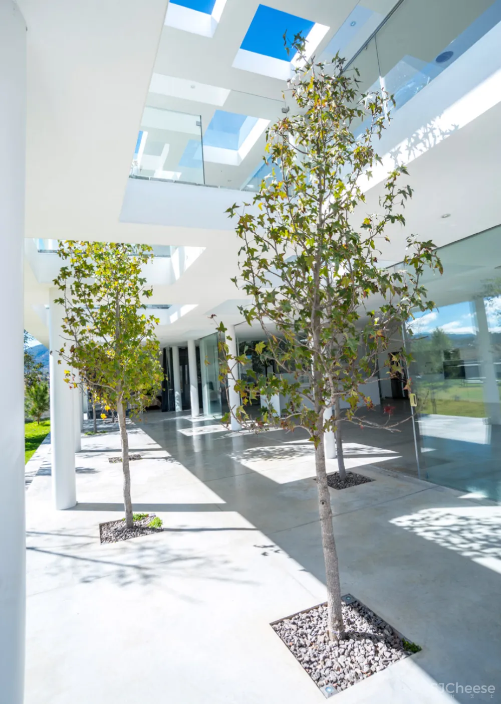 墨西哥的5个白色房子,纯净到让人感动!