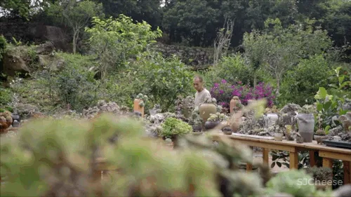 一个广东宅男,把游戏场景搬进30000m²的后花园,20年了还没造完