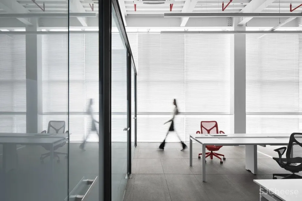 王鹏:一场跨越亿万年的爱恋!