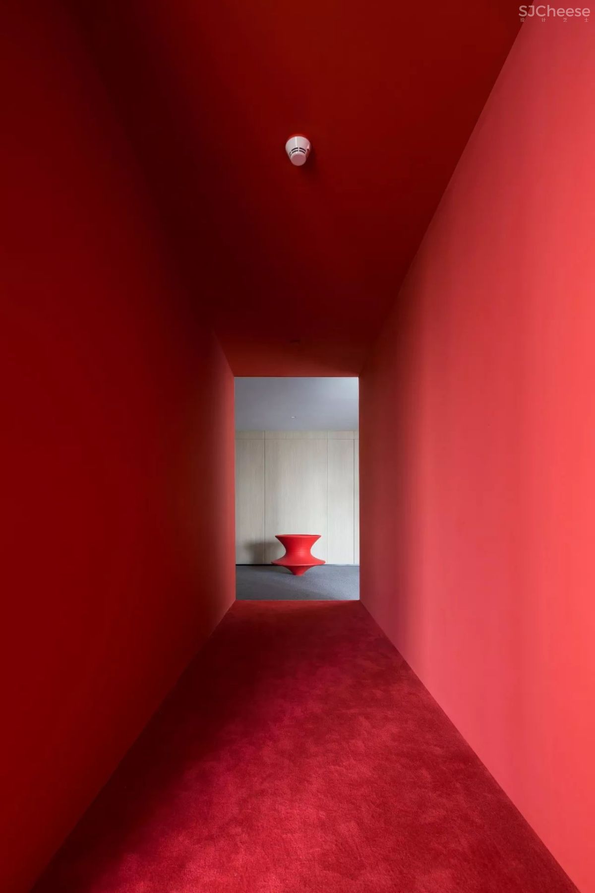 王鹏:一场跨越亿万年的爱恋!