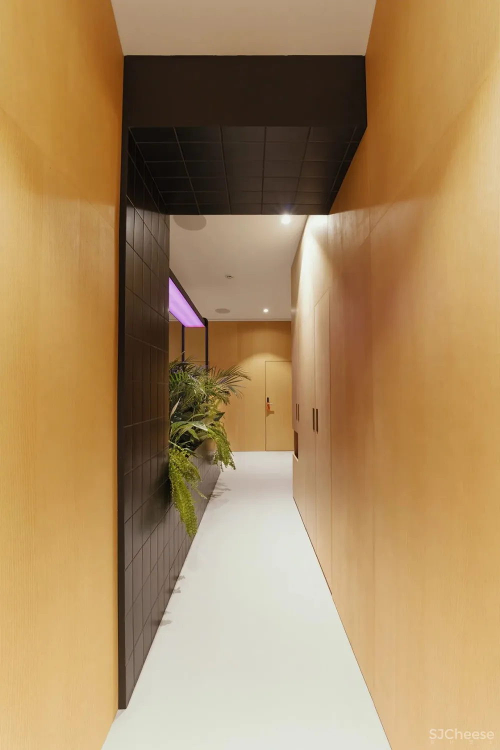 公寓式酒店设计,比家更像家!