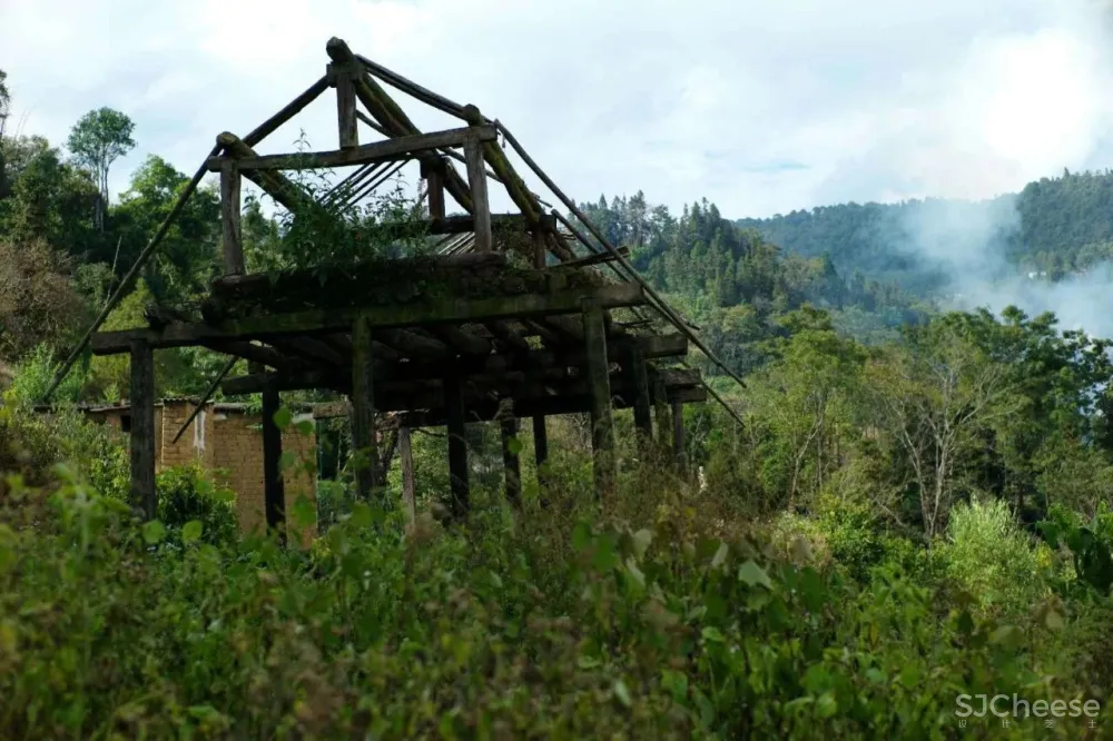 舒坦:在大理凤阳邑喝茶、洗片,他的“原生”乡建有何特别?
