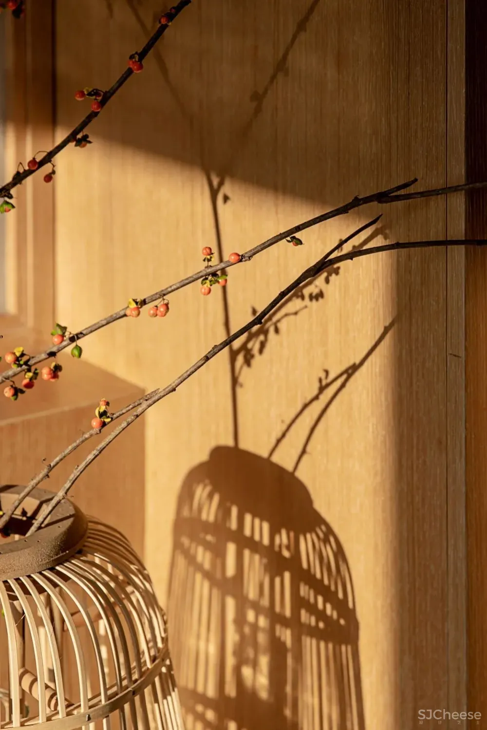 东西方自然观 共生形态设计