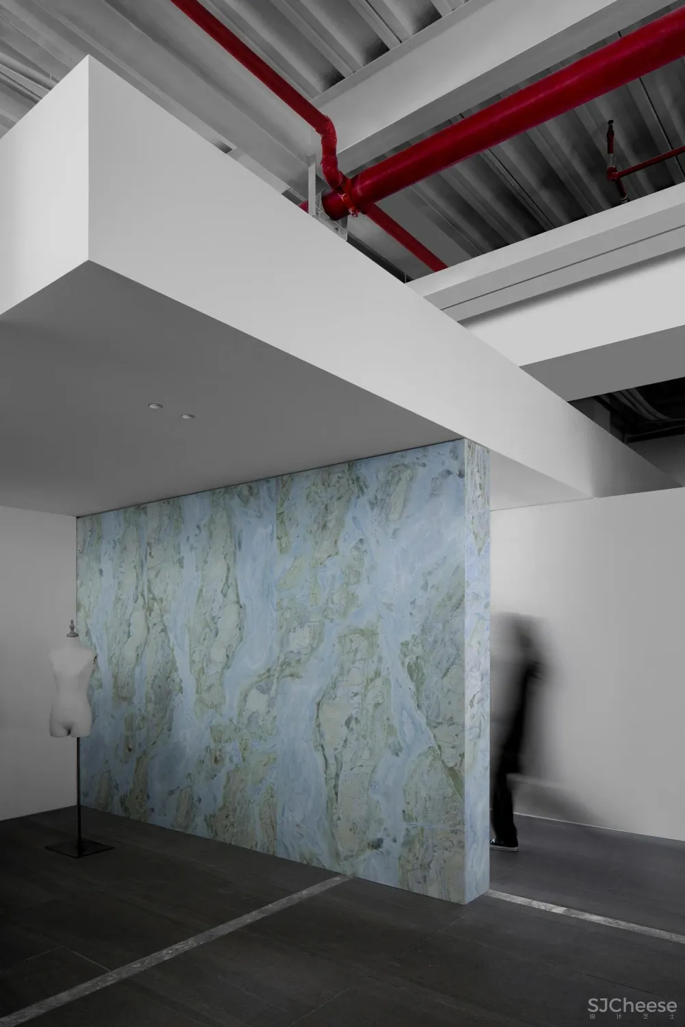 王鹏:一场跨越亿万年的爱恋!