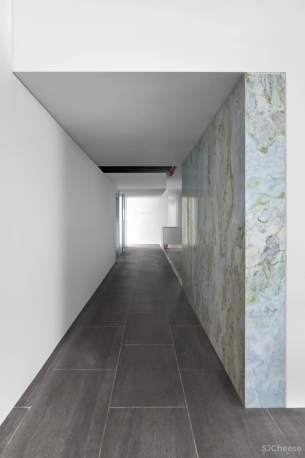 王鹏:一场跨越亿万年的爱恋!