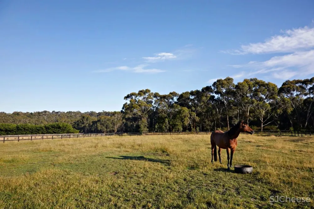 Planned Living丨澳大利亚乡土建筑的野性与诗意