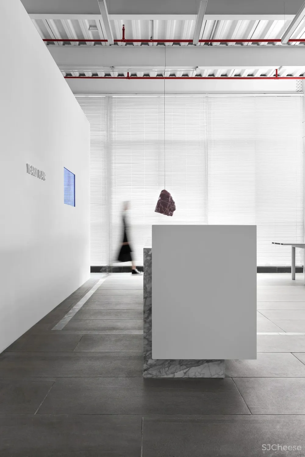 王鹏:一场跨越亿万年的爱恋!