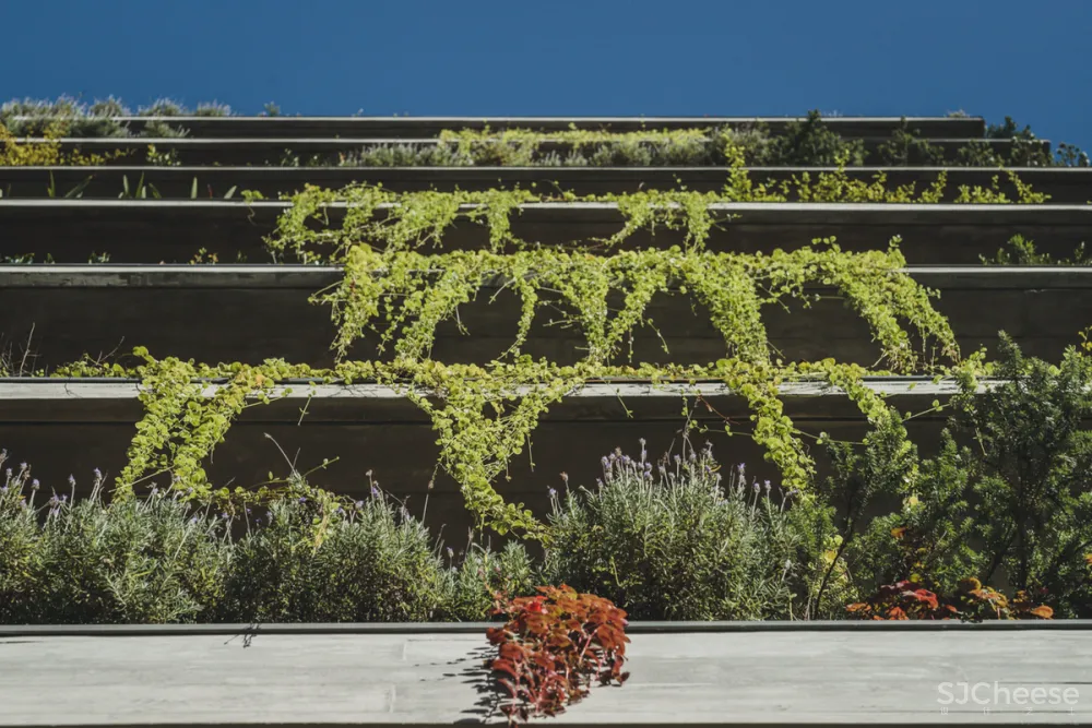 550㎡ 大平层,自然简约的画风比别墅更高级