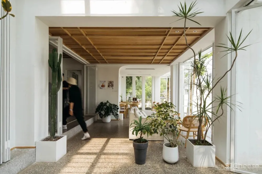 别止:重庆南山上的白房子,让人“重返18岁”