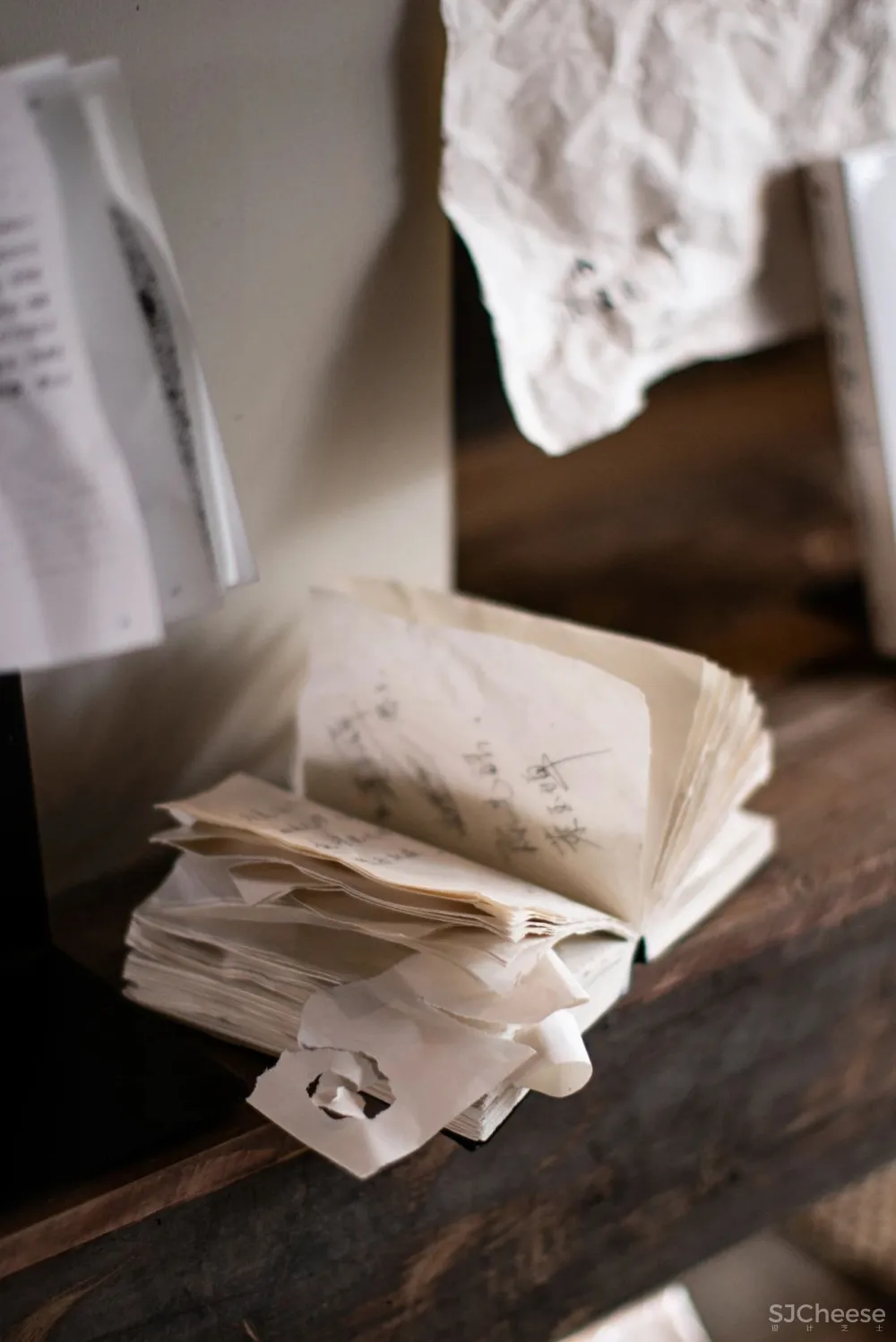 毛继军 × 新山書屋:书店,城市气质的路标