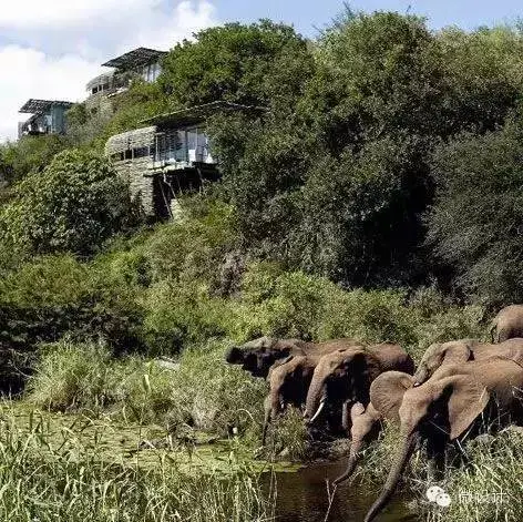 50个全球最美野奢酒店