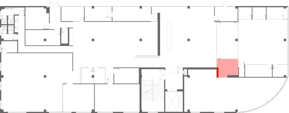 王鹏:一场跨越亿万年的爱恋!
