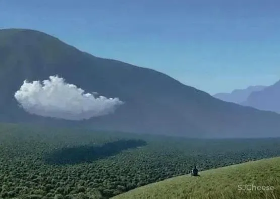 杉树林里的极美民宿