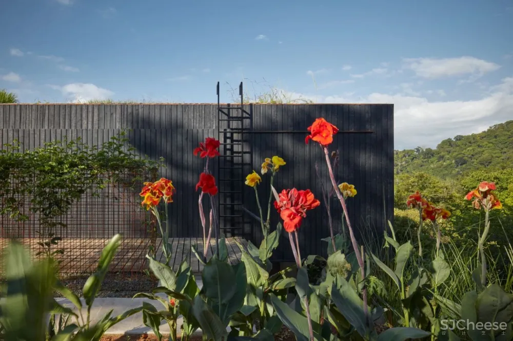 Formafatal丨哥斯达黎加超越想象的度假天堂