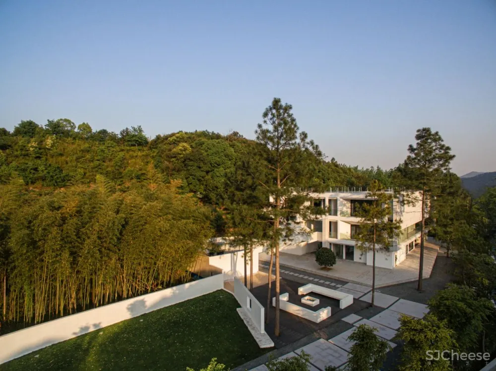 杉树林里的极美民宿