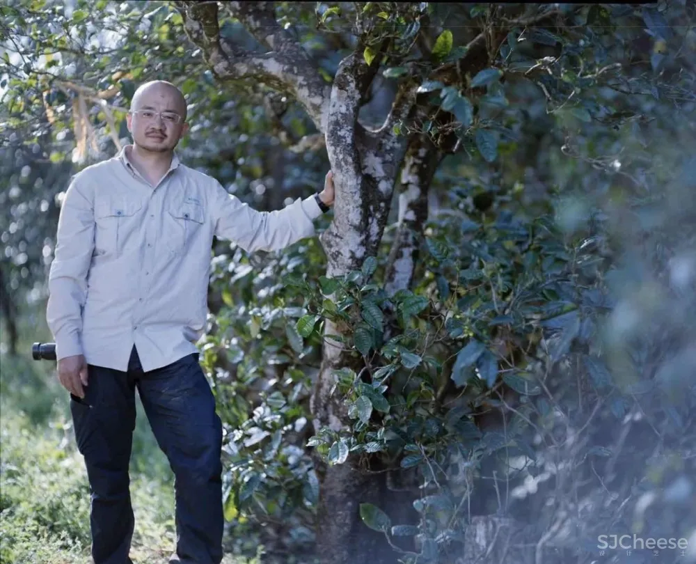 舒坦:在大理凤阳邑喝茶、洗片,他的“原生”乡建有何特别?