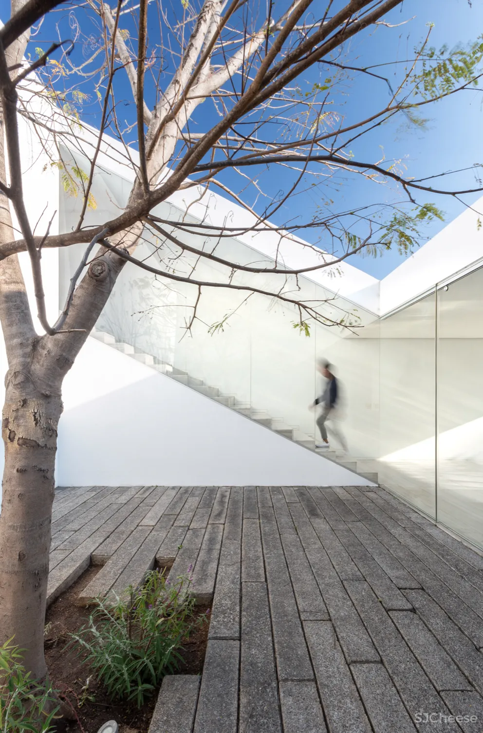 墨西哥的5个白色房子,纯净到让人感动!