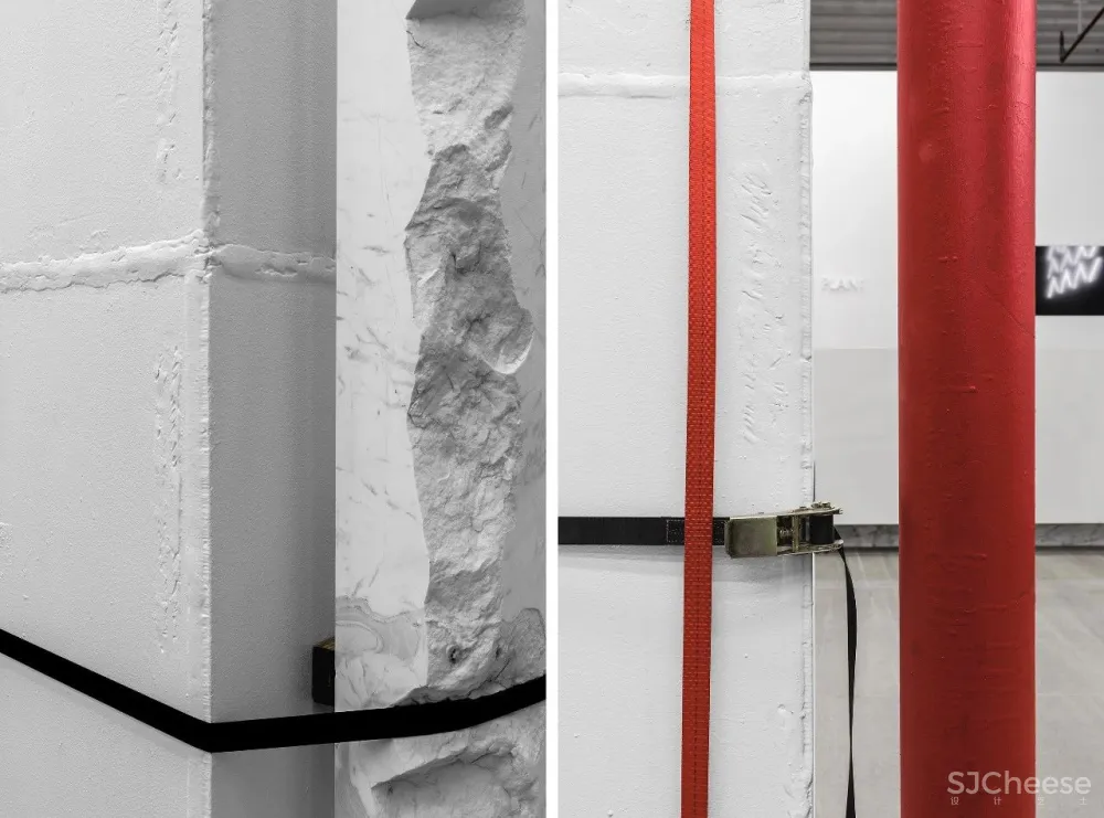 王鹏:一场跨越亿万年的爱恋!