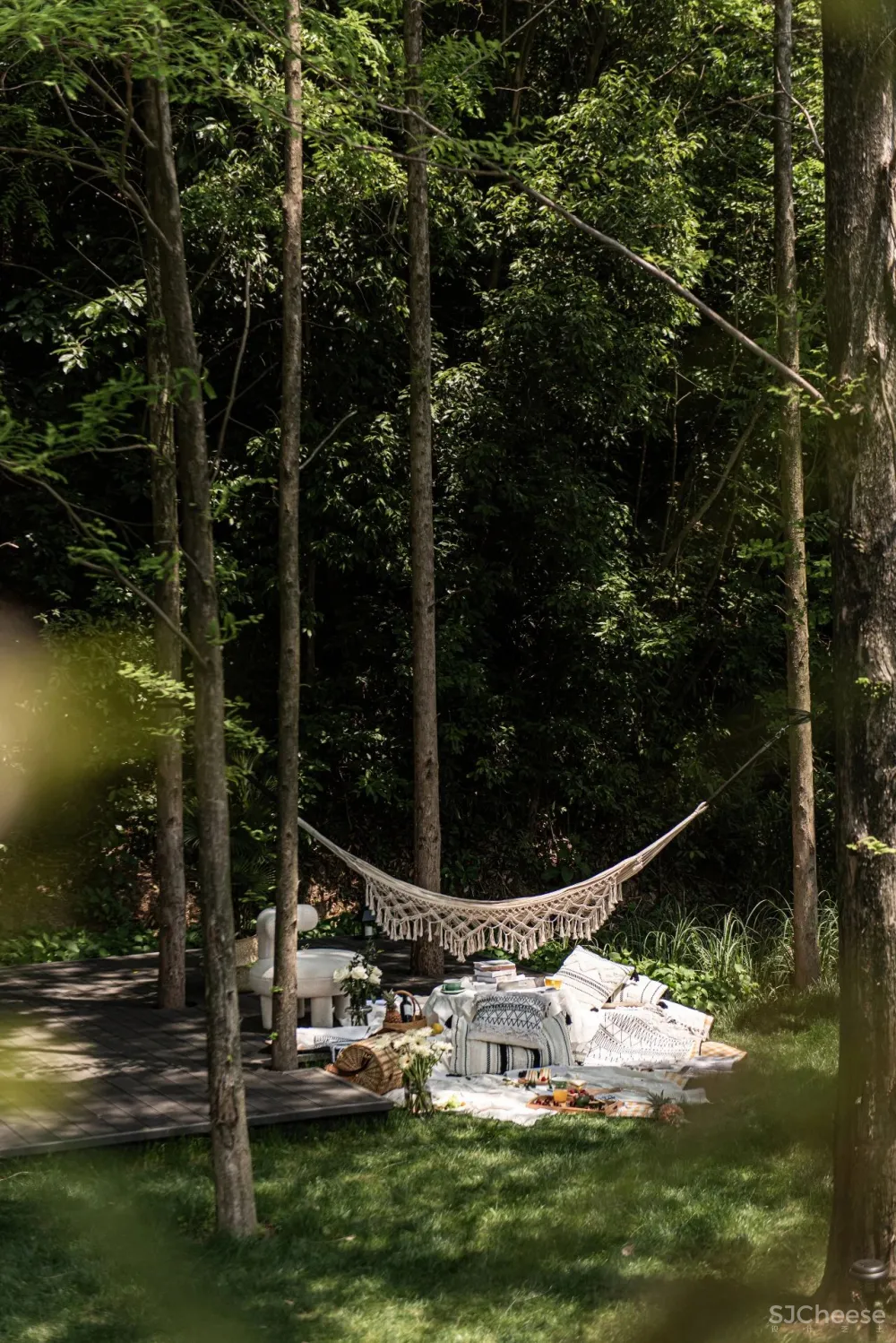 杉树林里的极美民宿