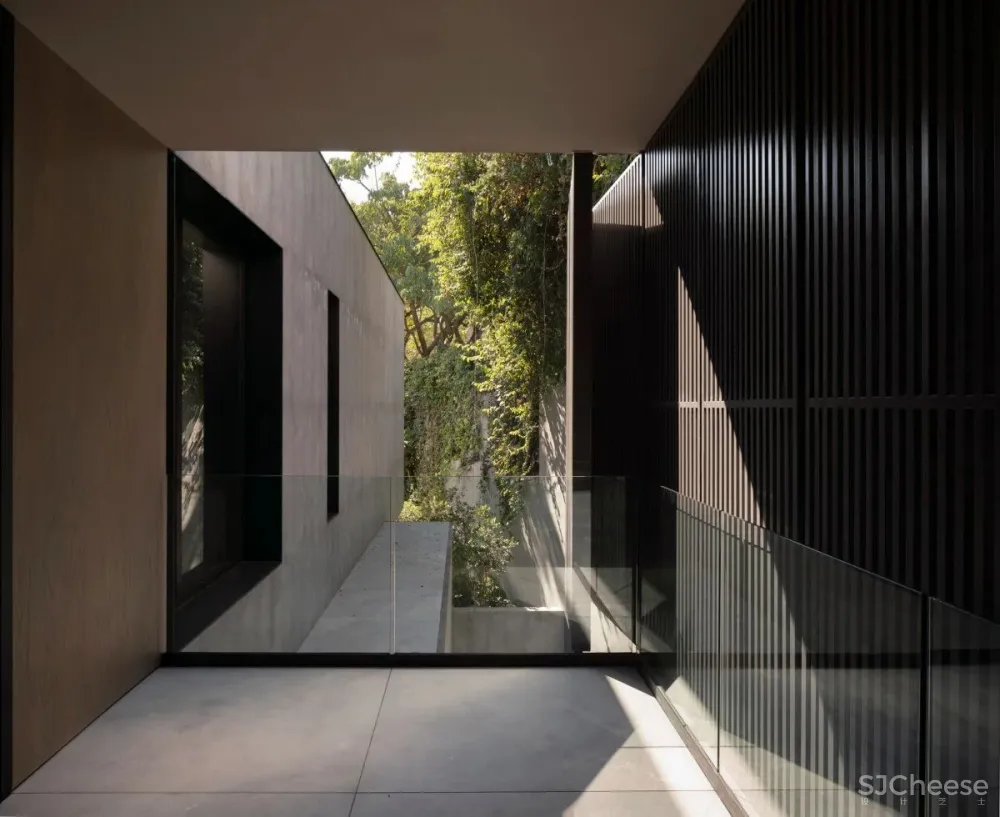 Francesc Rifé 专辑