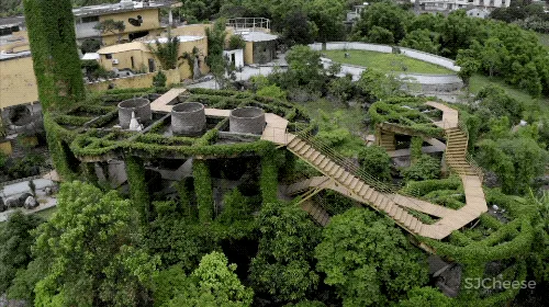 一个广东宅男,把游戏场景搬进30000m²的后花园,20年了还没造完