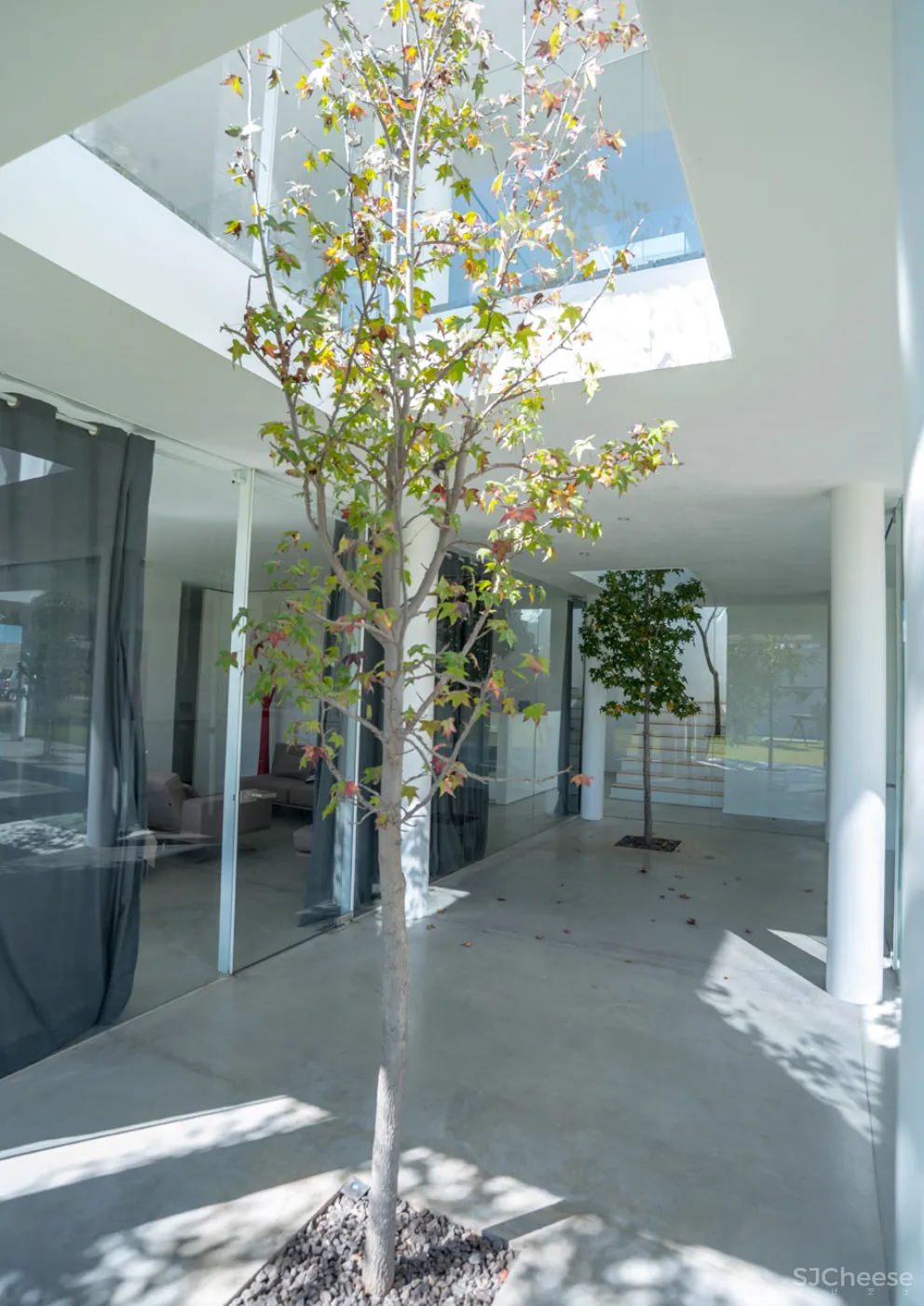 墨西哥的5个白色房子,纯净到让人感动!