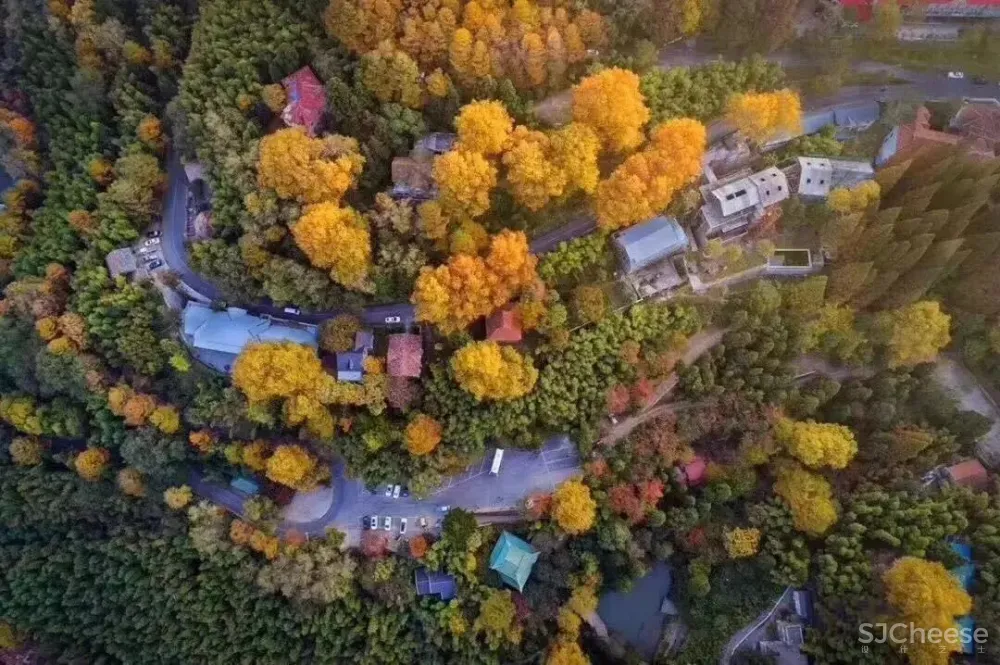 中国最美的50家民宿院子