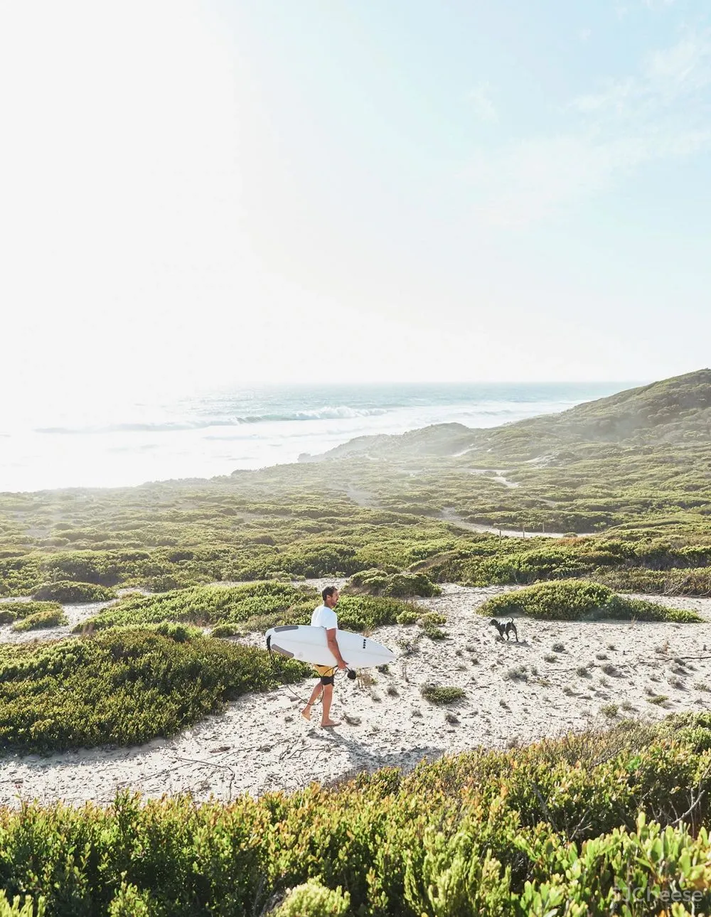 Planned Living丨澳大利亚乡土建筑的野性与诗意