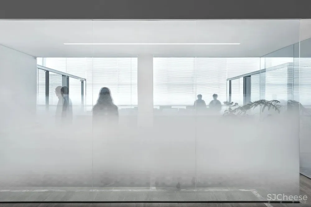 王鹏:一场跨越亿万年的爱恋!