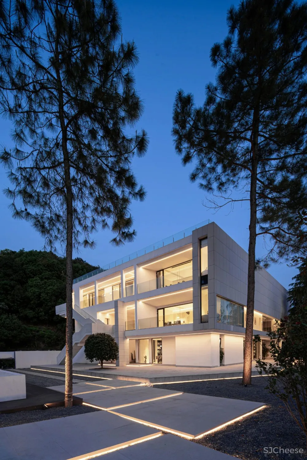 杉树林里的极美民宿