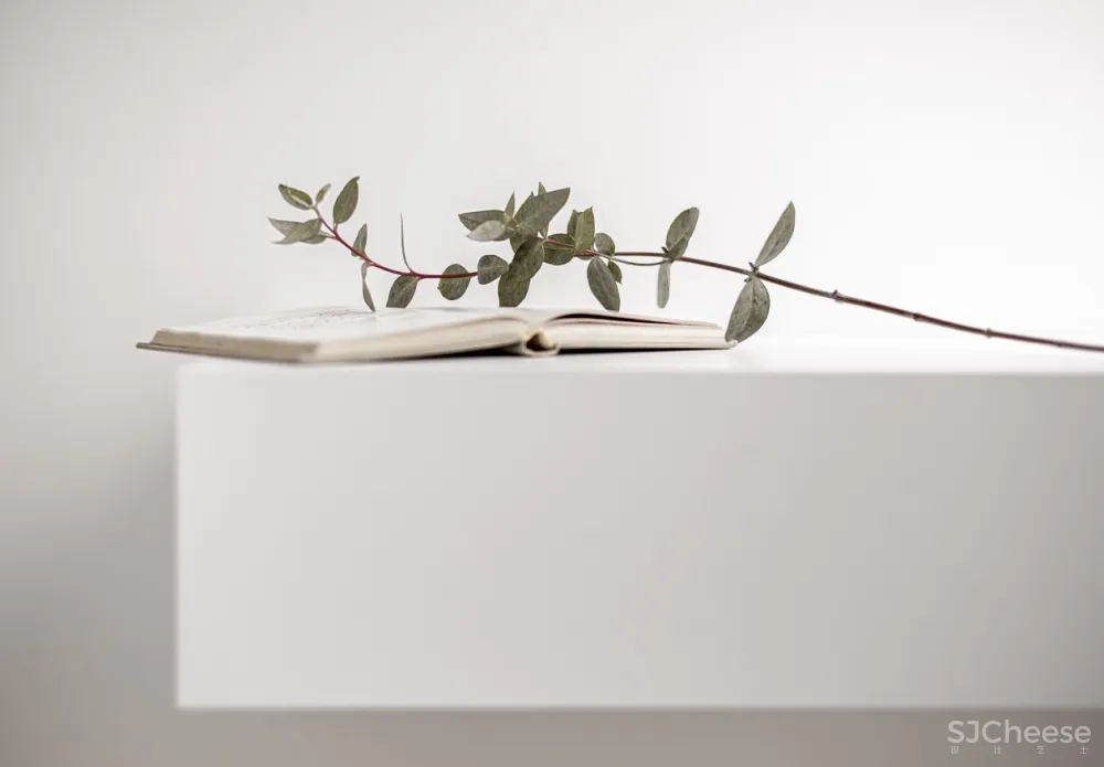 极简,硬朗与温馨的平衡 anstantsin Remez