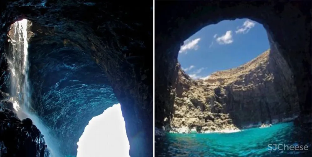 杉树林里的极美民宿