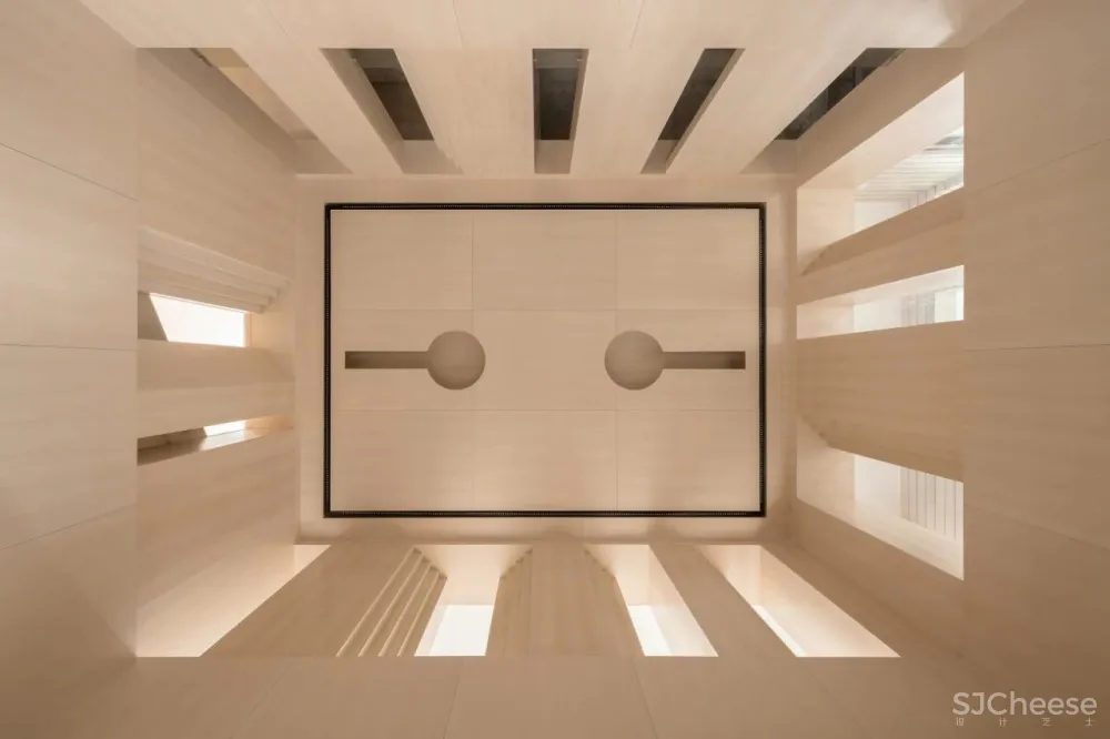 王鹏:一场跨越亿万年的爱恋!