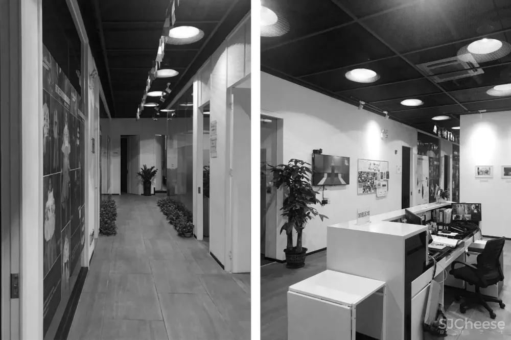 王鹏:一场跨越亿万年的爱恋!