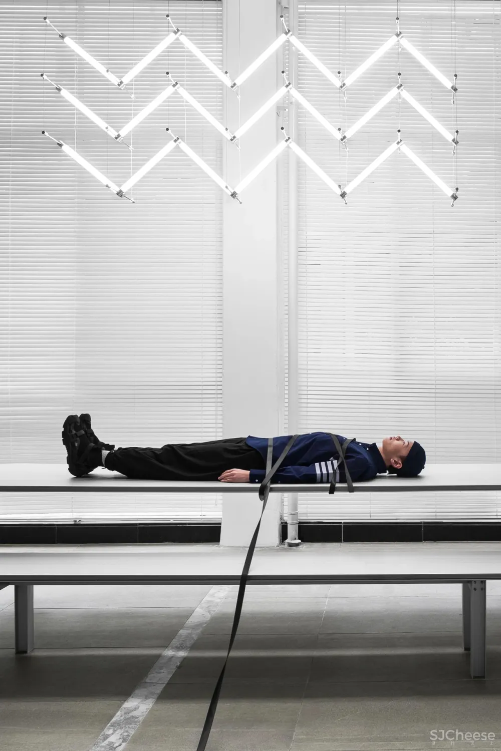 王鹏:一场跨越亿万年的爱恋!