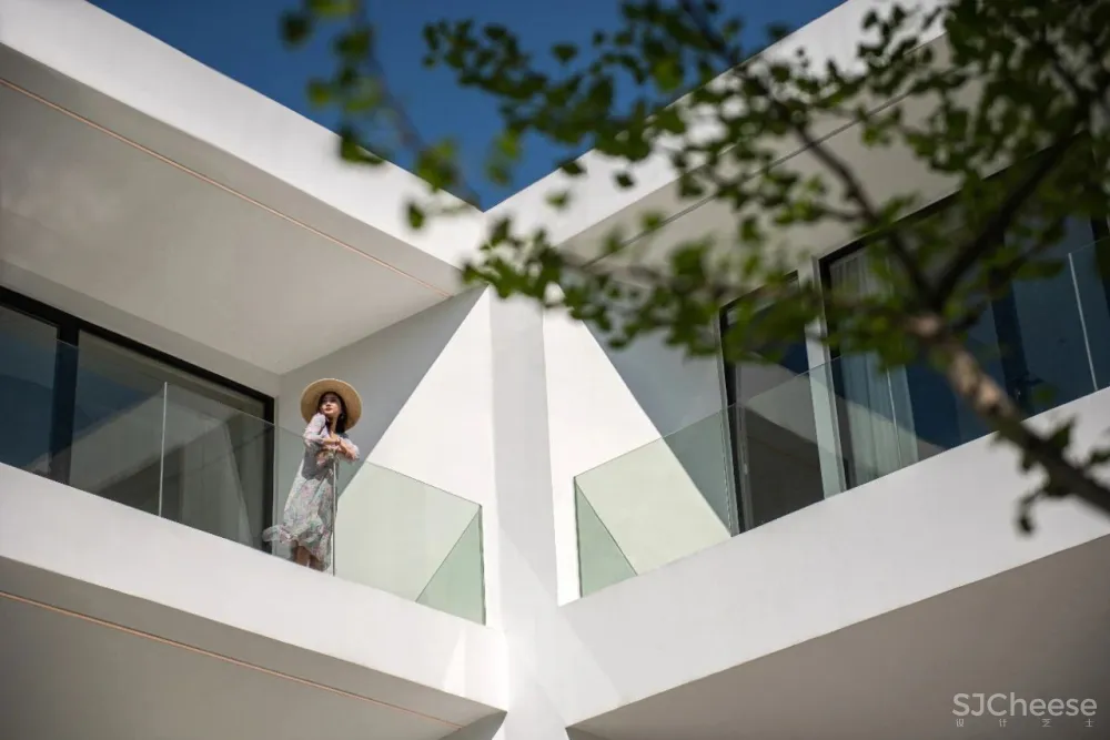 杉树林里的极美民宿